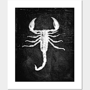 Scorpion - Inverted Posters and Art